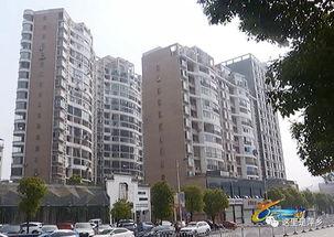 绿洲小区爆料最新消息视频,视频揭露惊人真相！