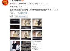 全国黑料爆料视频大全最新,视频大全背后的真相与争议